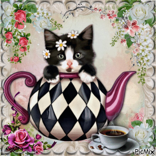 un café avec un chat - Ücretsiz animasyonlu GIF