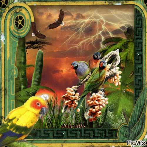 Exotic birds/Parrots... - Bezmaksas animēts GIF