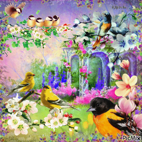 Spring and birds/contest - GIF animé gratuit