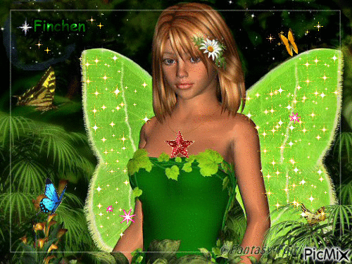 Schmetterling - GIF animasi gratis