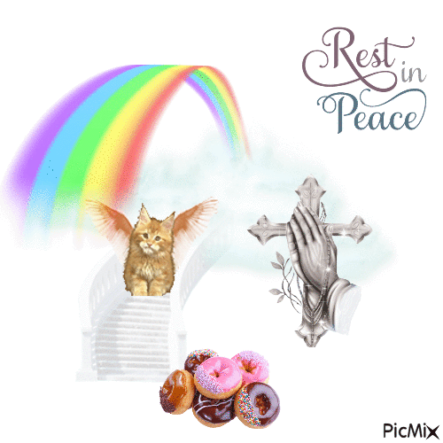 Rest In Peace To All My Loving Felines - Бесплатный анимированный гифка
