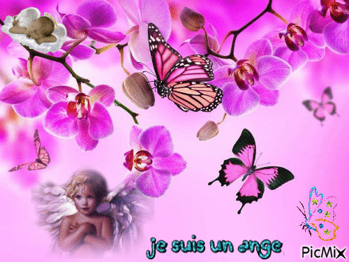 ange parmi les papillons - GIF animate gratis