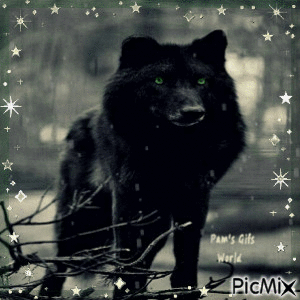 Black Wolf - GIF animado gratis