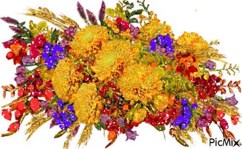 kvety - Ingyenes animált GIF
