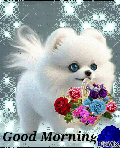 Bonjour chiot blanc portant un panier de roses - GIF animate gratis