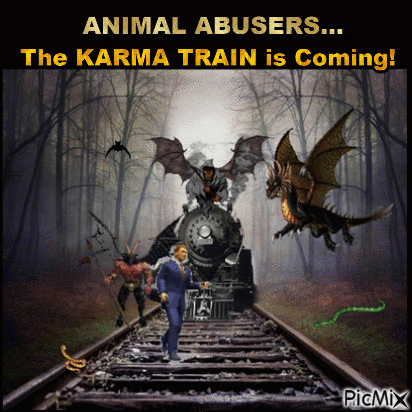 Animal Abusers ....Karma's Coming!! - GIF animado gratis