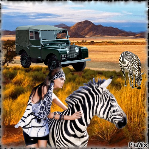 Frau und Zebra - gratis png