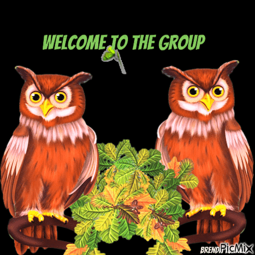 welcome owl - Gratis animeret GIF