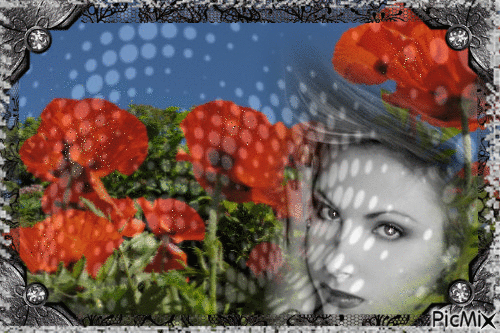 Portrait rouge et noir - Darmowy animowany GIF