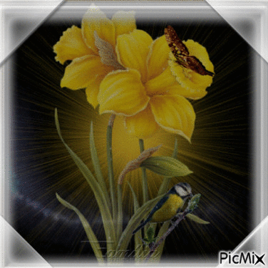 flores - Δωρεάν κινούμενο GIF