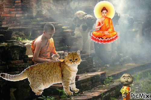 De monjes, dioses y gatos - Nemokamas animacinis gif
