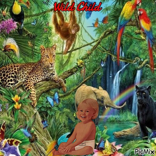 Wild Child - PNG gratuit