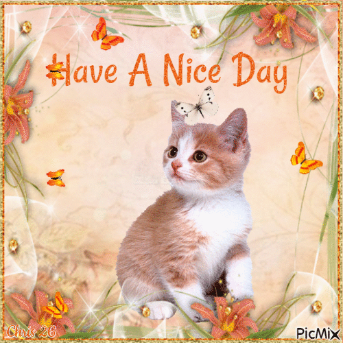 Have A Nice day - 免费动画 GIF