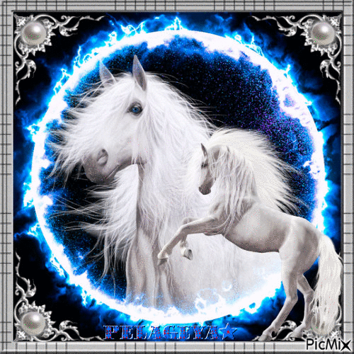 chevaux blancs 🎠 😍 🐹 🐶 🐻 - Gratis geanimeerde GIF