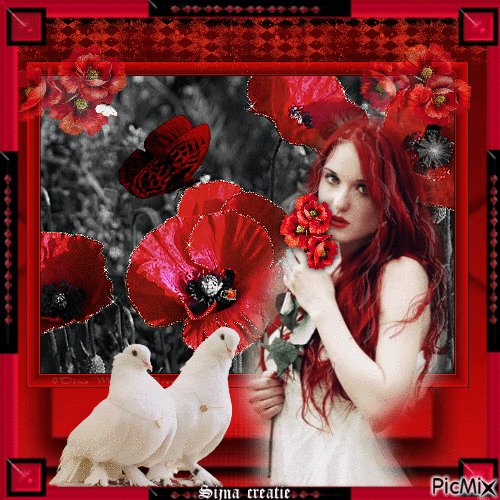 Redhead beauty with poppies. - Zdarma animovaný GIF
