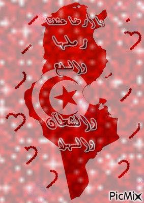 tunis - Besplatni animirani GIF