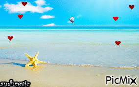 bellas playas - GIF animasi gratis