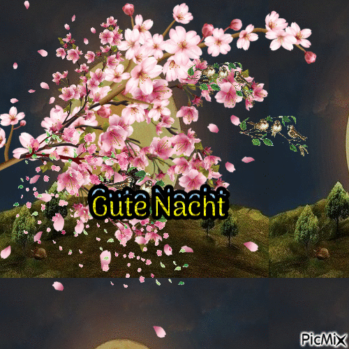 gute nacht - Ücretsiz animasyonlu GIF