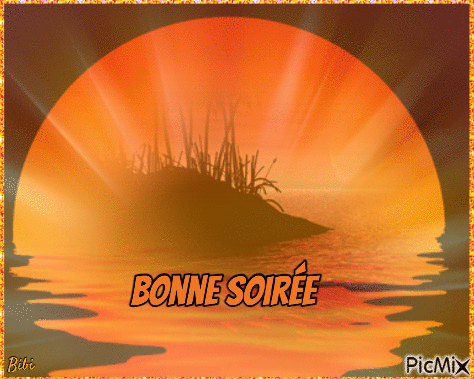 BONNE SOIREE CHERS AMI(ES) - GIF animasi gratis