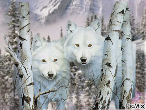 Les Loups - 免费PNG