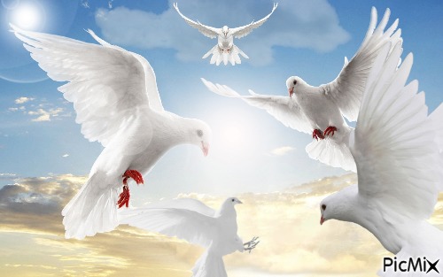 Luz y palomas - PNG gratuit