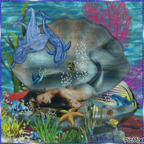 Sirène et dauphin - Gratis animeret GIF