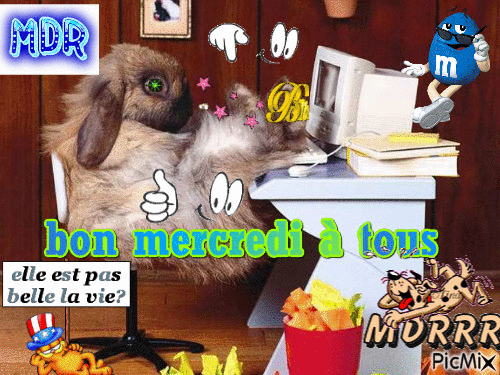 Montage perso merci à vous graçias - Darmowy animowany GIF