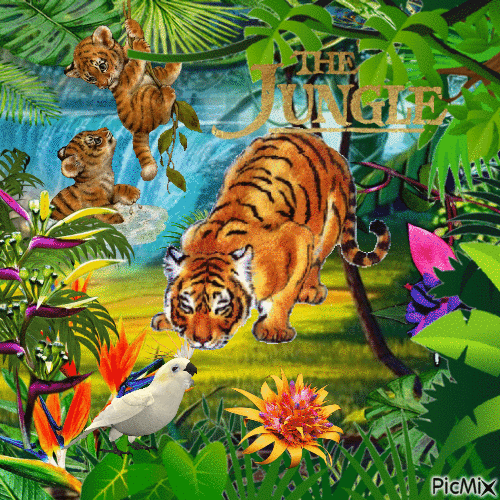 La jungla / The Jungle - Animovaný GIF zadarmo