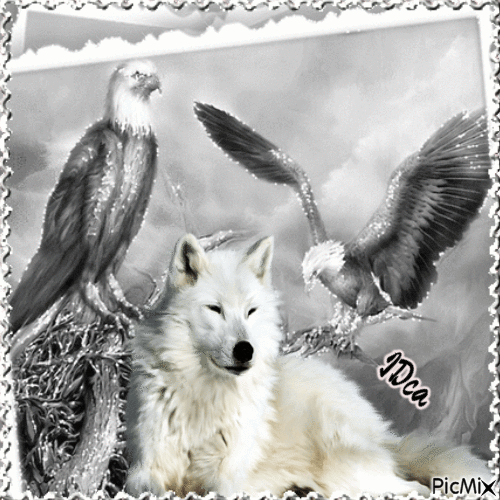 Le loup et les aigles - GIF animado gratis