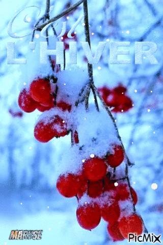 hiver - GIF animado grátis