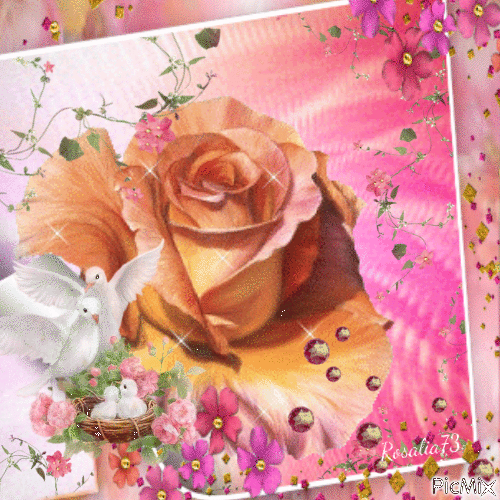 -Beautiful rose- - GIF animé gratuit
