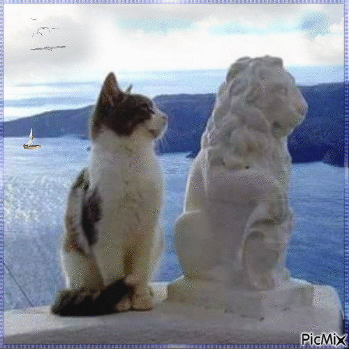 Amazing Cat - Gratis animerad GIF