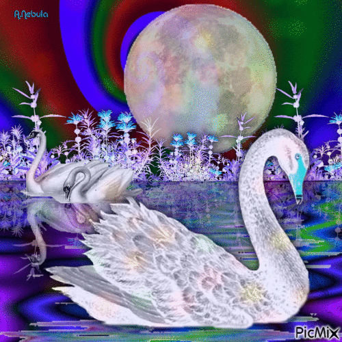 Swans - GIF animado grátis