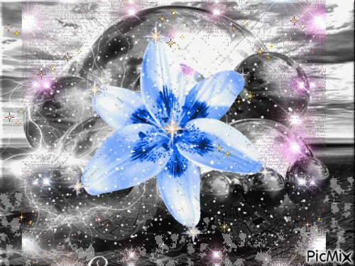 Kék liliom - Darmowy animowany GIF