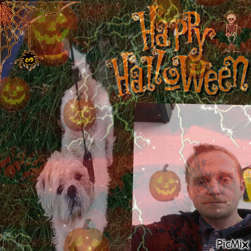 happy halloween - Gratis animerad GIF