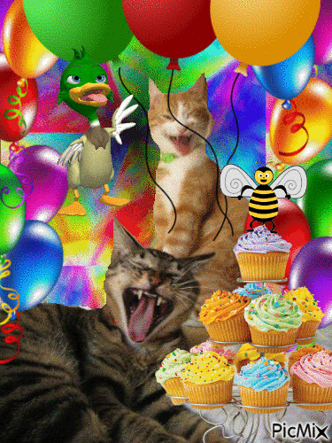 Party Cats - GIF animé gratuit