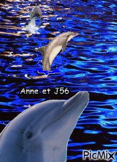 Anne et joel - Бесплатный анимированный гифка
