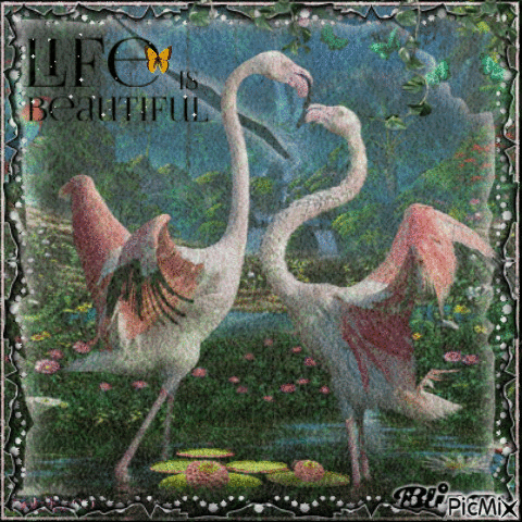 life is beautiful - Δωρεάν κινούμενο GIF
