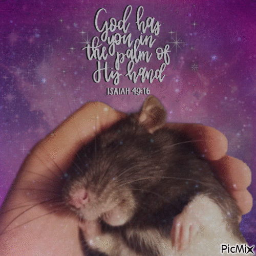 God holding us in palm of his hand - GIF animado gratis