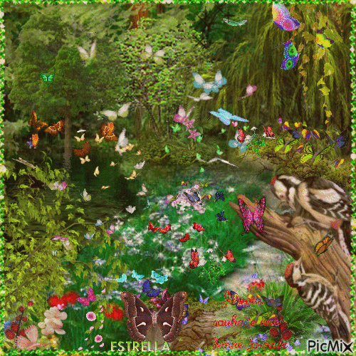 Butterflies - GIF animado grátis