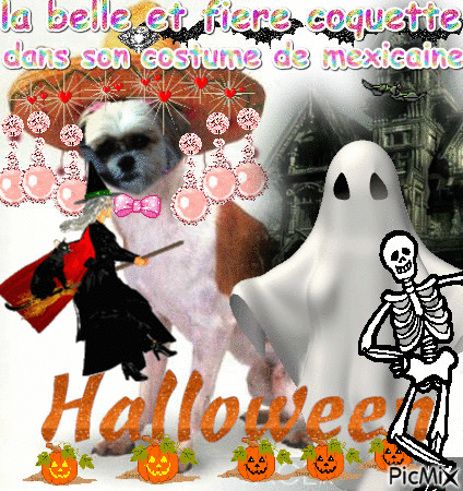 l,halloween - Besplatni animirani GIF