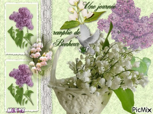 lilas muguet - besplatni png