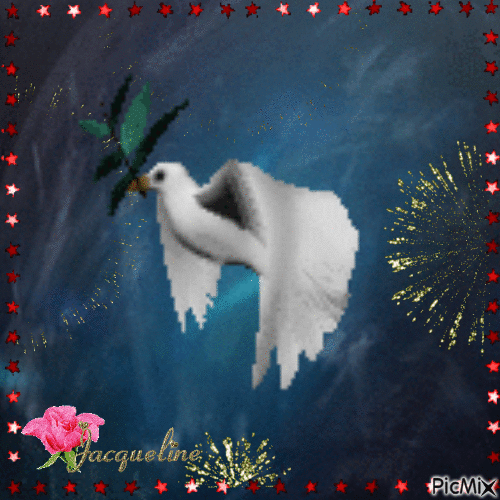 magnifique colombe - GIF animé gratuit