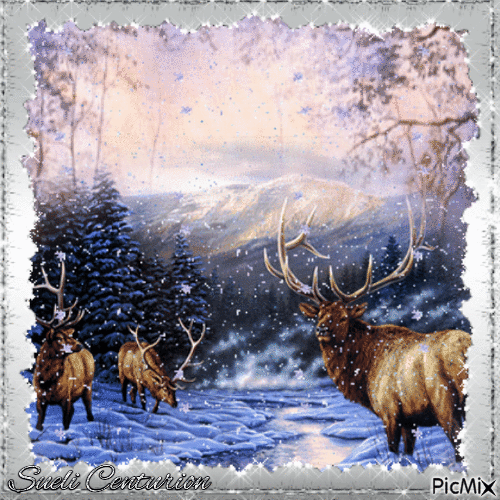 Animal selvagem no inverno - Ilmainen animoitu GIF