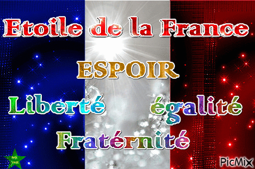 Drapeau Français - Безплатен анимиран GIF