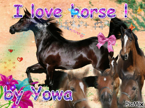 chevaux ♥ - Darmowy animowany GIF