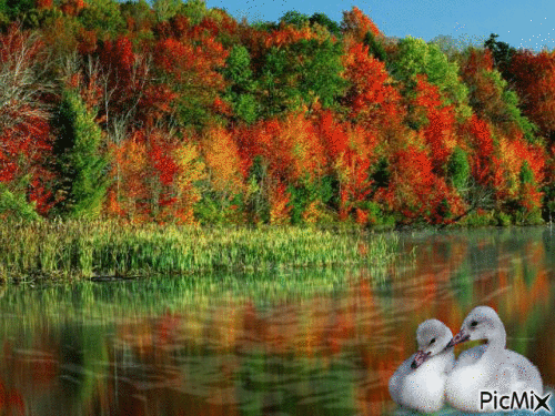 automne - Δωρεάν κινούμενο GIF