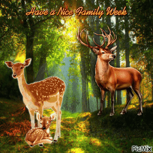 Have a Nice Family Week Deers - Бесплатный анимированный гифка