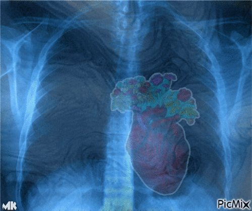 Radiografía de un corazón florido - GIF เคลื่อนไหวฟรี