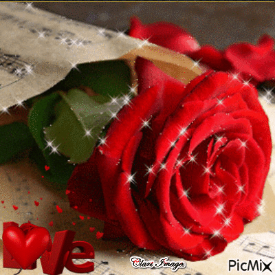 Love in Rose - GIF animate gratis